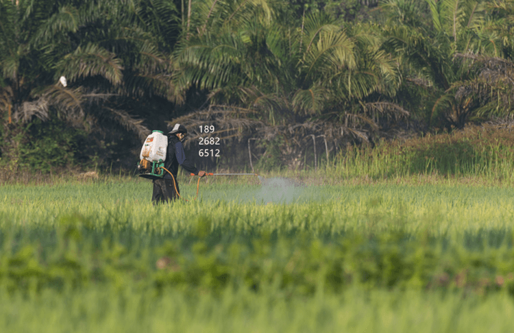 (圖:南輝液體肥料消泡劑的作用)